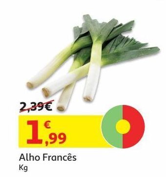 Alho francês kg