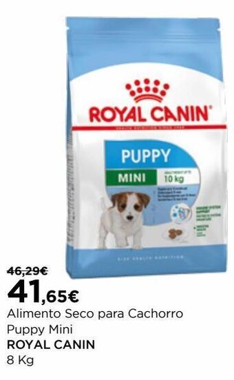 Ração para cães royal canin