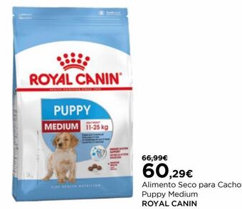 El Corte Inglés Ração para cães royal canin promoção