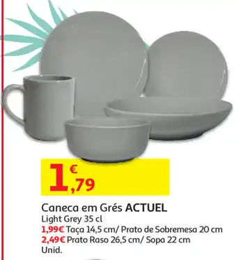 Caneca em Grés Actuel 35cl