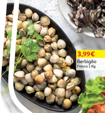 Auchan Berbigão Fresco 1kg promoção