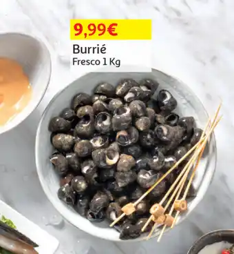 Auchan Burrié Fresco 1kg promoção