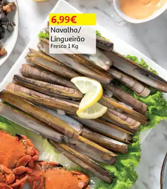 Auchan Navalha/Lingueirão Fresco 1kg promoção