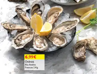 Ostras Ria Aveiro Frescas 1kg