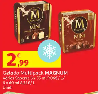Auchan Gelado Multipack Magnum 6x55ml promoção