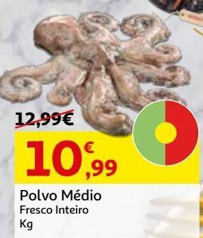 Polvo medio fresco inteiro kg