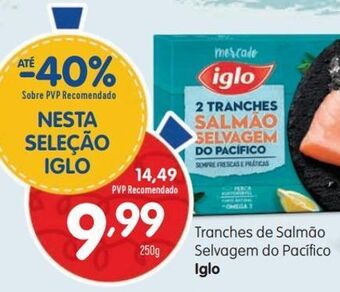 Salmão iglo