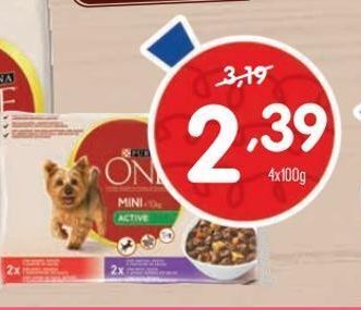 Minipreço Ração para cães purinaone promoção