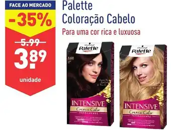 ALDI Palette Coloração Cabelo promoção