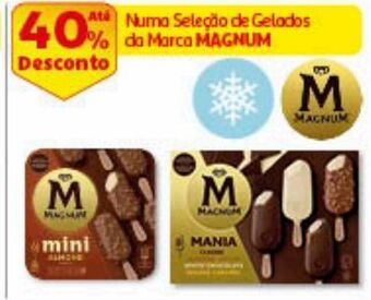 Gelado magnum