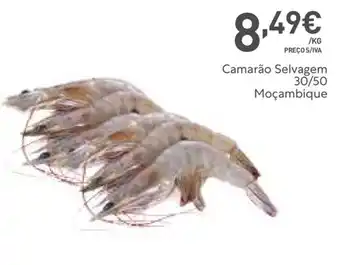 Recheio Camarão Selvagem 30/50 Moçambique promoção