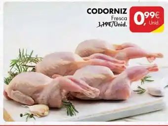 Codorniz