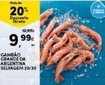Continente Gambao Grande da Argentina Selvagem 20/30 promoção
