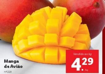 Lidl Manga promoção