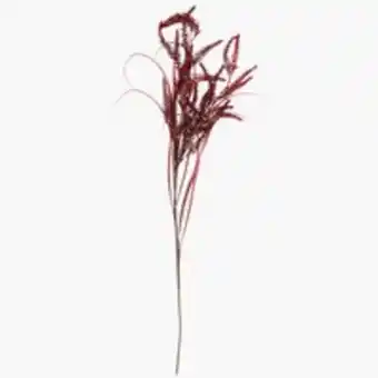 JYSK Ramos farbaute l80cm vermelho promoção