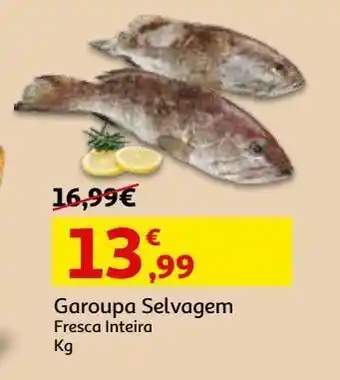 Auchan Garoupa selvagemfresca kg promoção