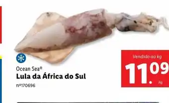Lidl Lula de africa do sul promoção