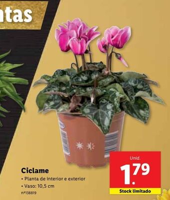 Lidl Cíclame promoção