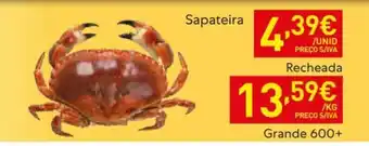 Recheio Sapateira 1kg promoção