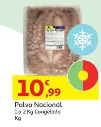 Auchan Polvo Nacional 1 a 2kg cong. 1kg promoção