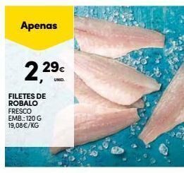 Continente Robalo promoção