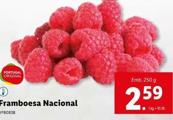 Lidl Framboesa promoção
