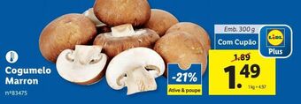 Lidl Cogumelos promoção
