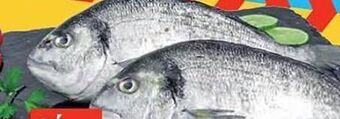 Dourada