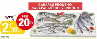 Intermarché Carapau Pequeno, Carapau Médio, Verdinho promoção