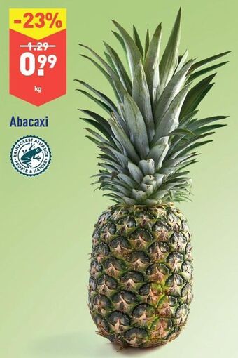 ALDI Abacaxi promoção