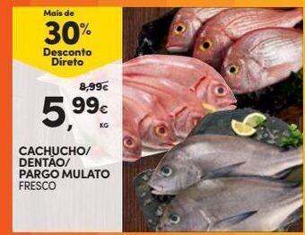 Continente Peixe promoção