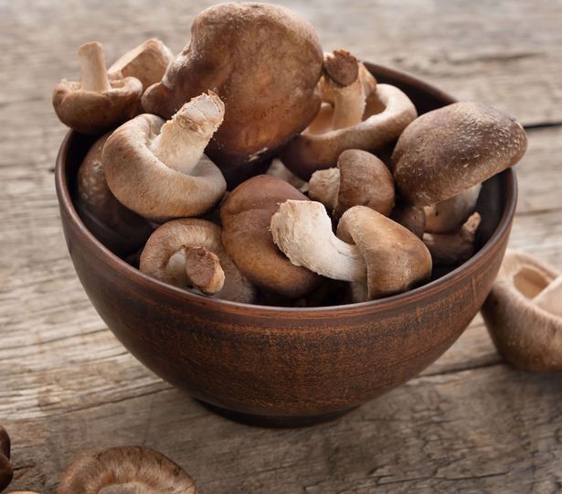 Promoção Cogumelos shiitake em ALDI