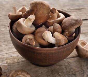 ALDI Cogumelos shiitake promoção