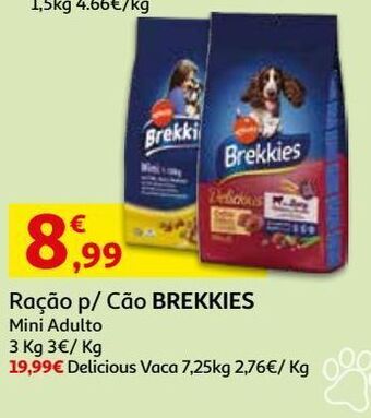 Auchan Ração cão brekkies promoção