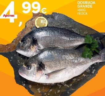 Continente Dourada Grande promoção
