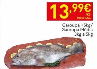 Recheio Peixe promoção