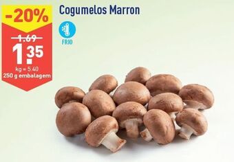 ALDI Cogumelos promoção