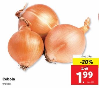 Cebola