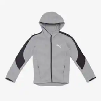 Casaco puma