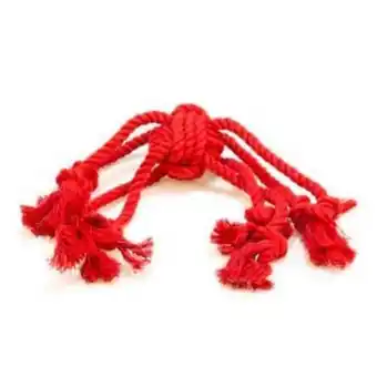 Knot limit octopus mordedor de cordas para cães