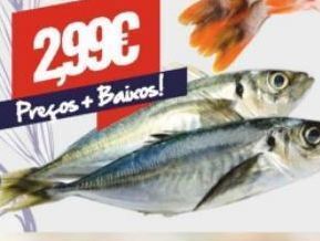 Belita Peixe promoção