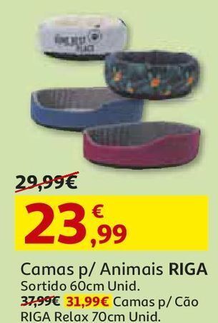 Auchan Camas para cão riga promoção