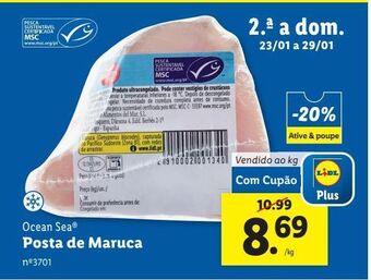 Lidl Peixe ocean sea promoção