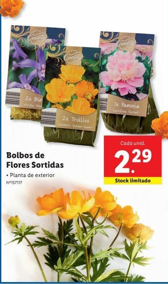 Lidl Plantas promoção