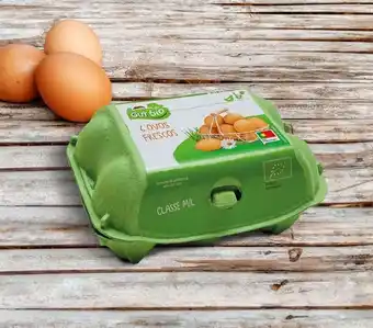 ALDI Ovos biológicos nacionais classe m/l promoção
