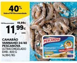 Continente Bom dia Camarão pescanova promoção