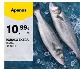 Continente Bom dia Robalo promoção