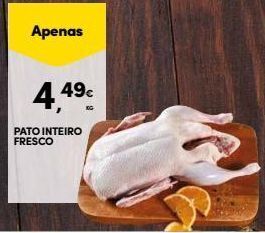 Continente Bom dia Pato promoção
