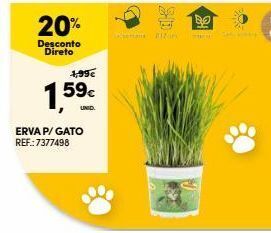 Plantas
