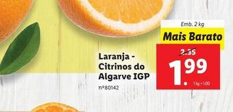 Lidl Laranja promoção